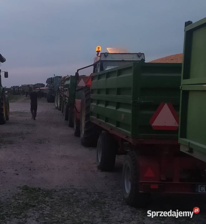 Sprzedam przyczepę d46 Izbica Kujawska
