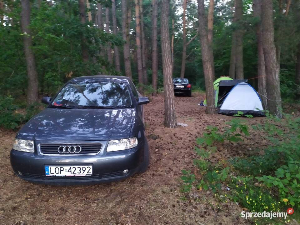 Audi a3 16mpi 8l lifting