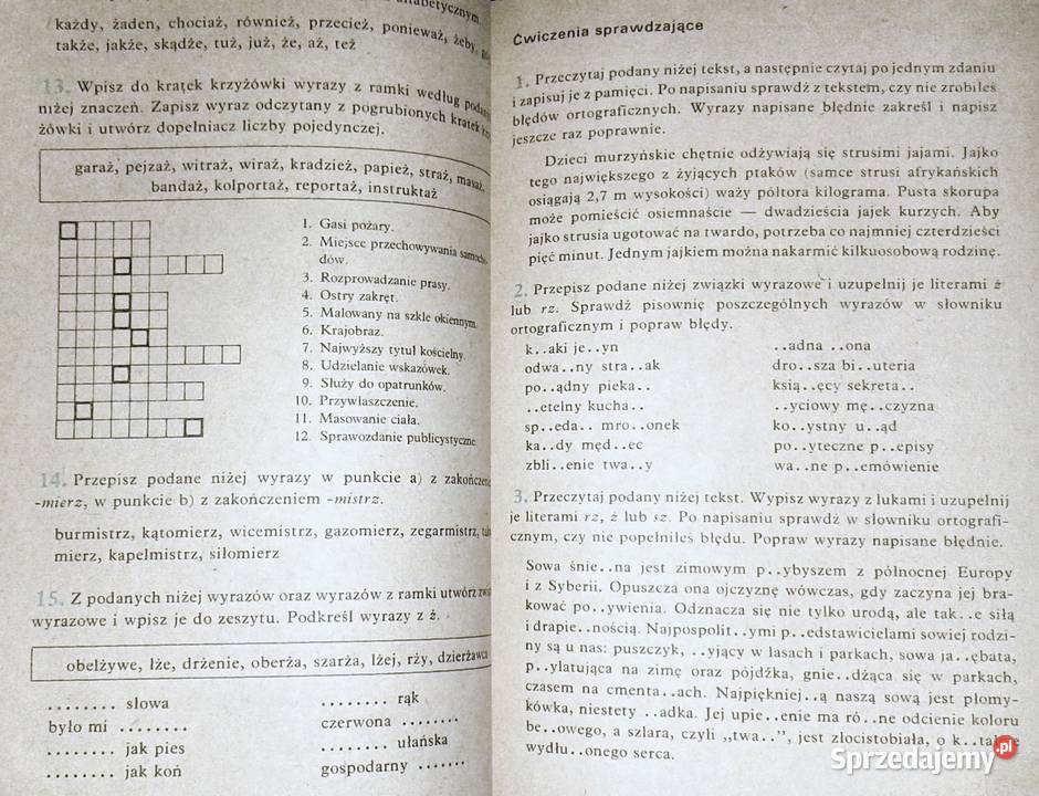Nauka ortografii i interpunkcji uczniów kl 46 Chełm