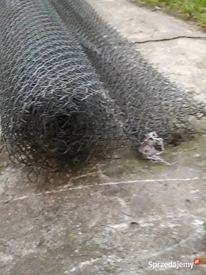 Siatka ogrodzeniowa Częstochowa