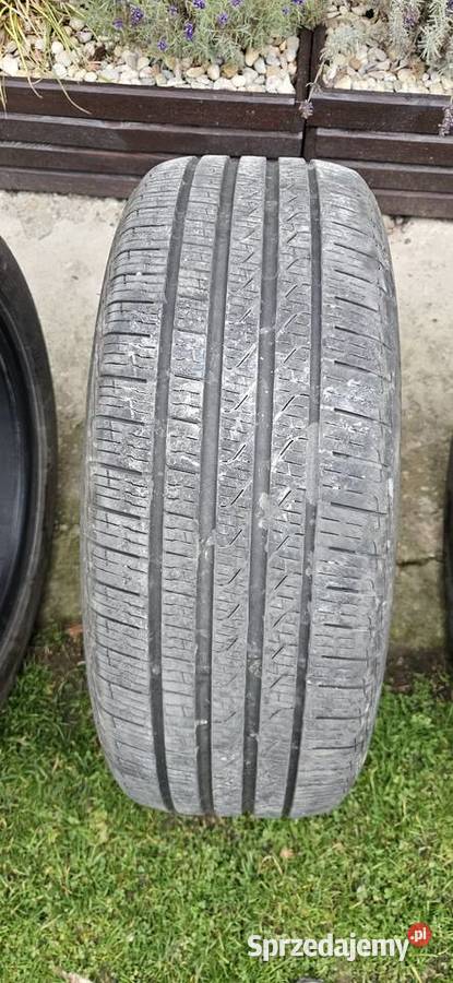 Opony Pirelli 24550 R19 run flat wielosezonowe całoroczne Dębica
