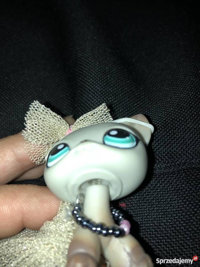 Littlest pet shop Słupsk