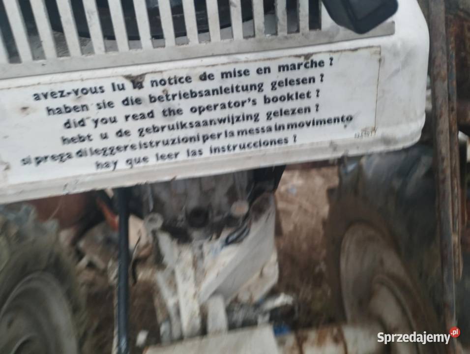 Sprzedam dzika Wały Pyzówka
