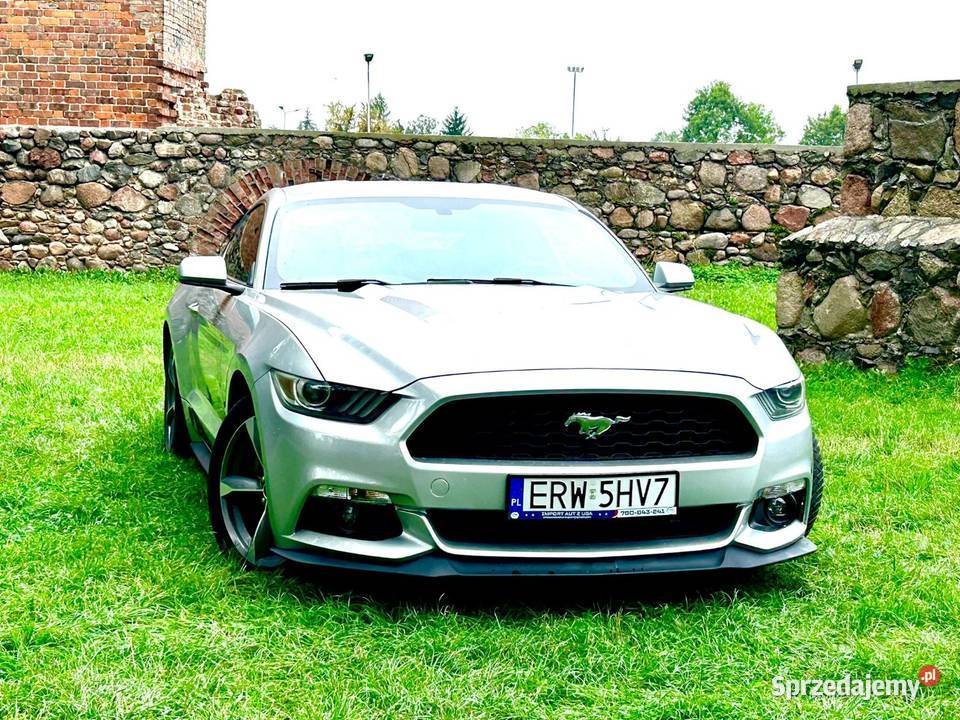 Mustang 37 2016 sprzedam