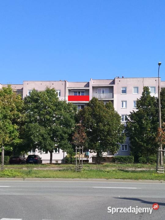 Wynajmę powierzchnię reklamową Świetna obok Cas Usługi Gorzów Wielkopolski