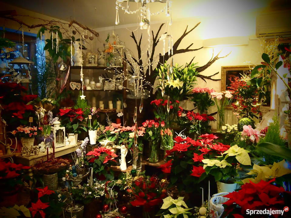 Sprzedam asortyment kwiaciarni warmińsko-mazurskie Olsztyn