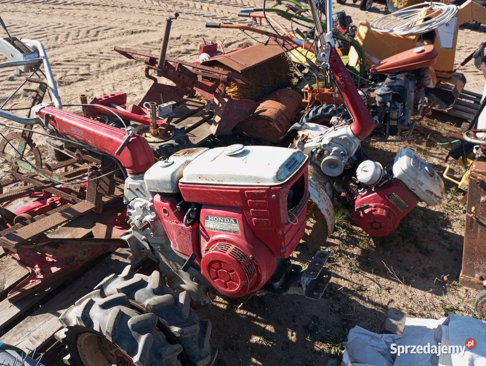 Glebogryzarka spalinowa Dom i Ogród Buk