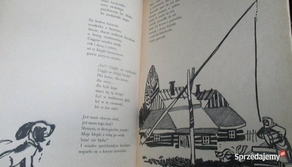 Psotyki i śmieszki JPorazińska Brzechwa Łódź