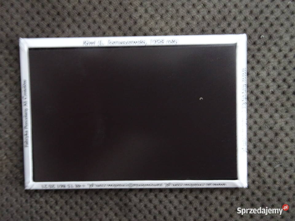 magnes na lodówkę Tęczowy tukan Ćmielów Pozostałe Warszawa