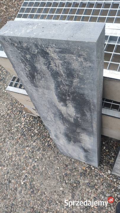 Palisada betonowa 100 Myślenice sprzedam