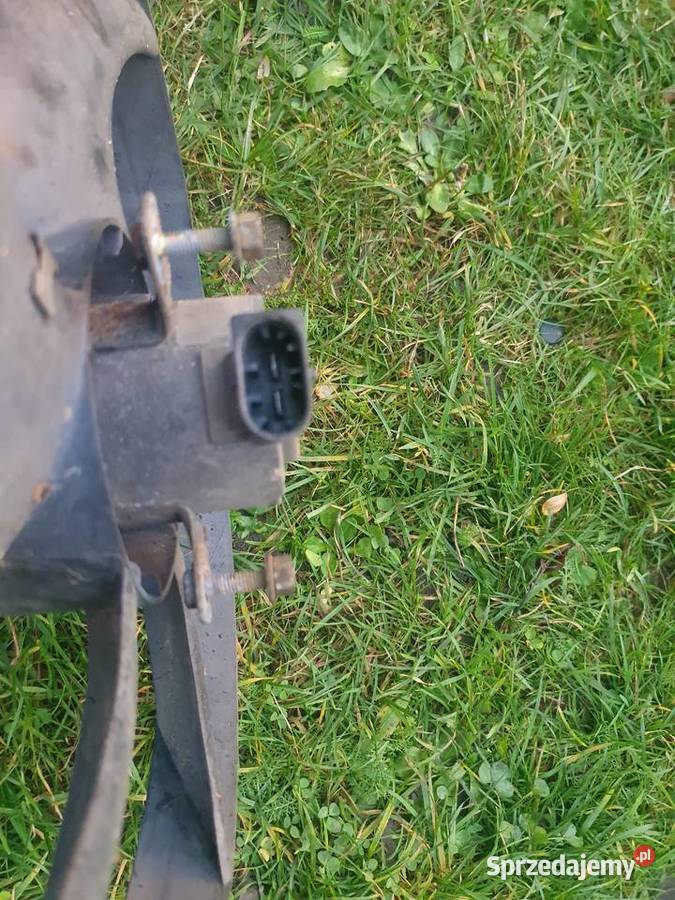 Wentylator dmuchawa chłodnicy Peugeot 206 Układ chłodzenia małopolskie