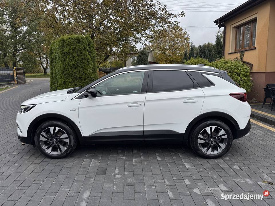Opel Grandland X 16BlueHDi Piękny poduszka powietrzna Straszów