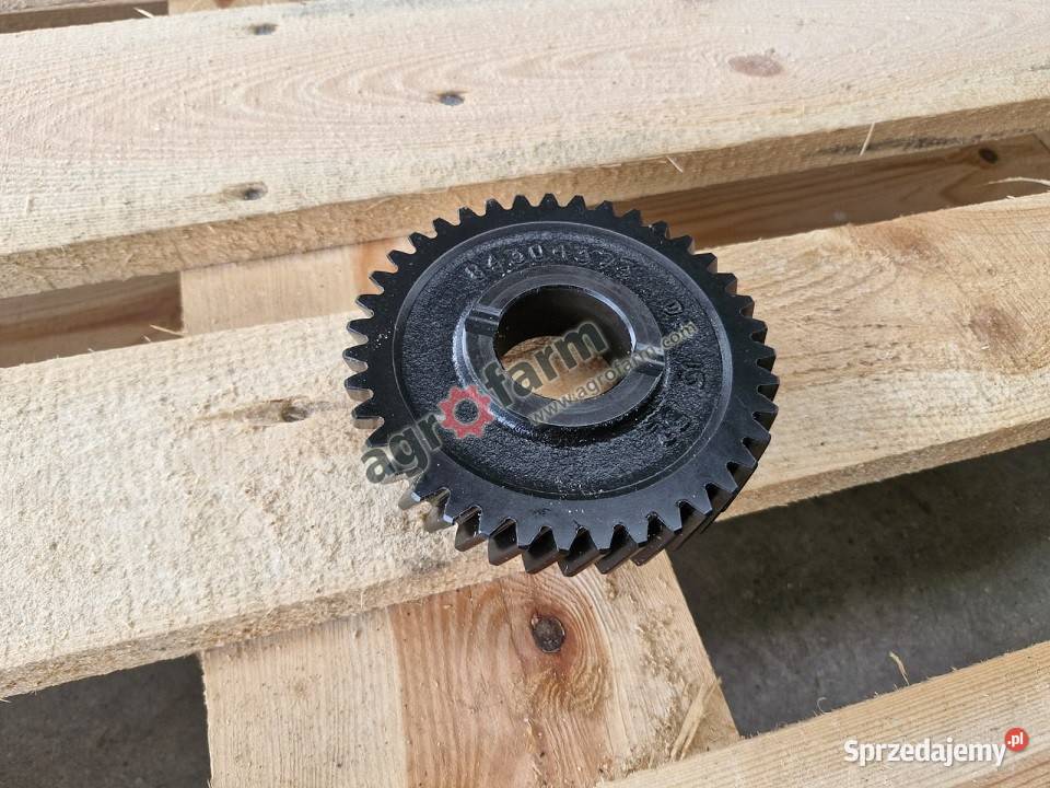 Koło zębate Z39 Holland T350 T455 T475 Byków