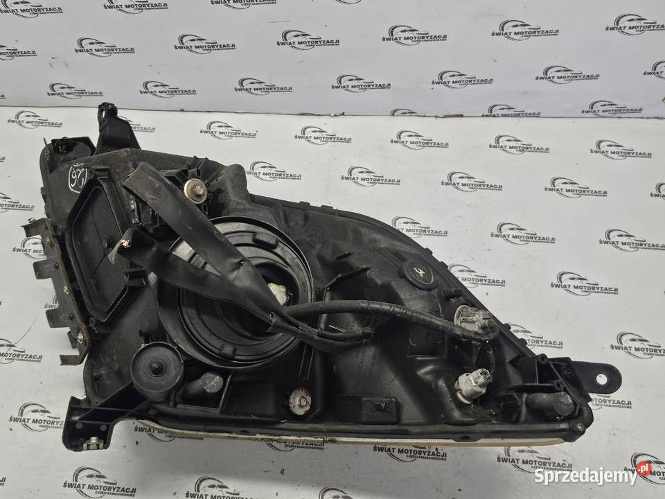 TOYOTA PRIUS XW20 06r lampa prawa przód ANGLIK Kielce