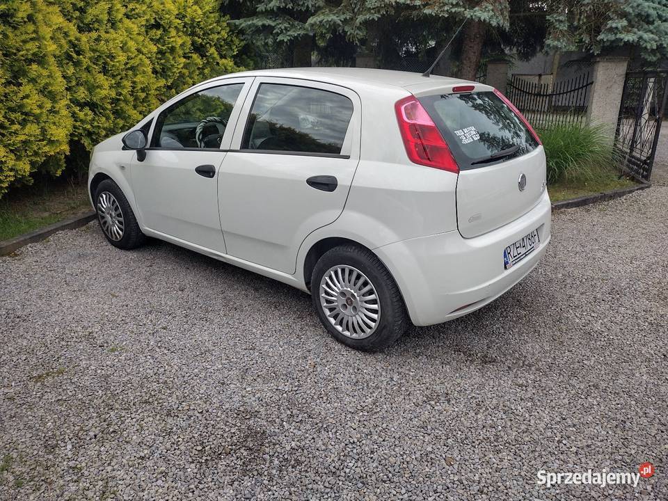 Fiat Punto 12 69 2011 5drzwiowy manual 69KM Punto podkarpackie Rzeszów