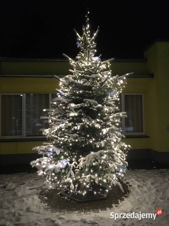 stojak choinkowy stojak pod chinkę na choinkę Damasławek sprzedam
