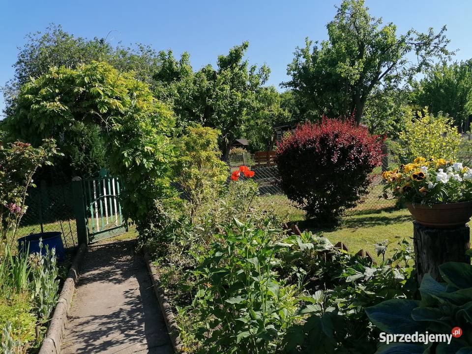 Sprzedam Działkę ROD imADomagalskiego Gdynia Grunty i działki sprzedam