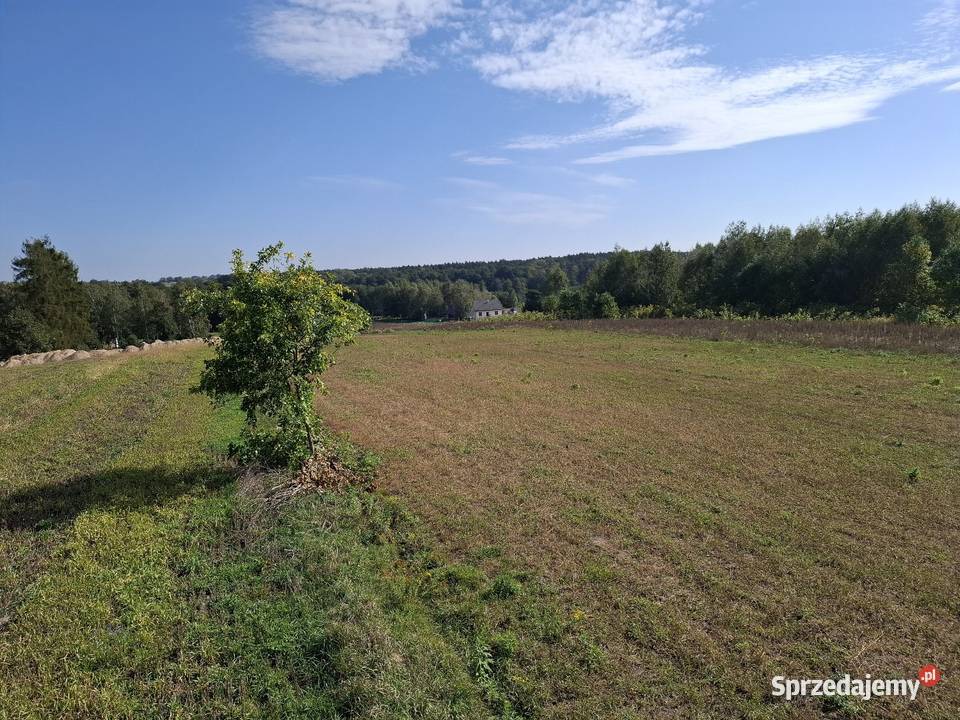 Działka budowlana 1600 mkw 1600m2 Koziołki