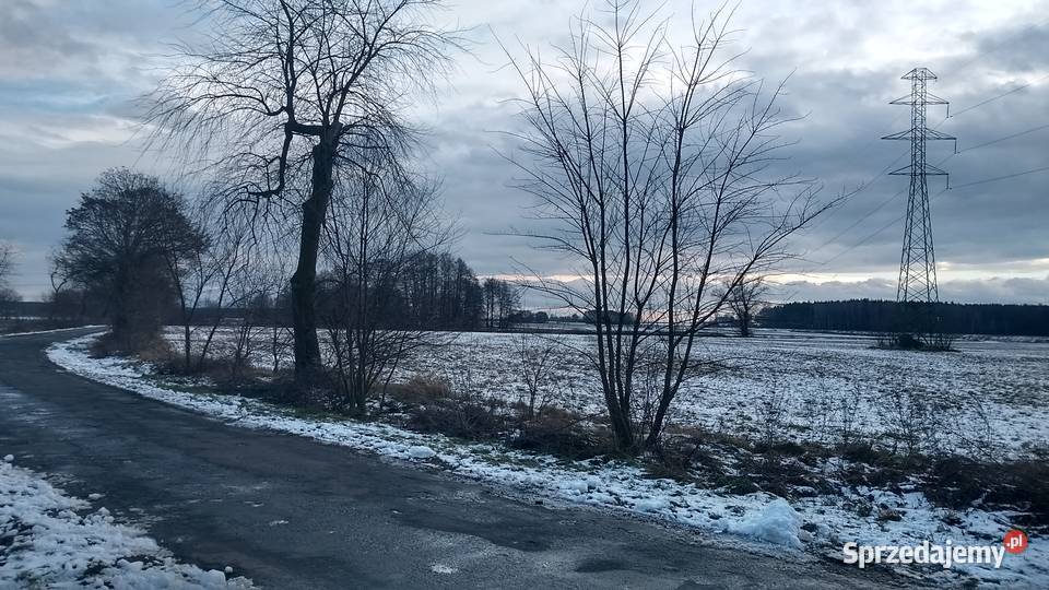 Dzialka rolna 642 ha Tarnowiec w strefie opolskie