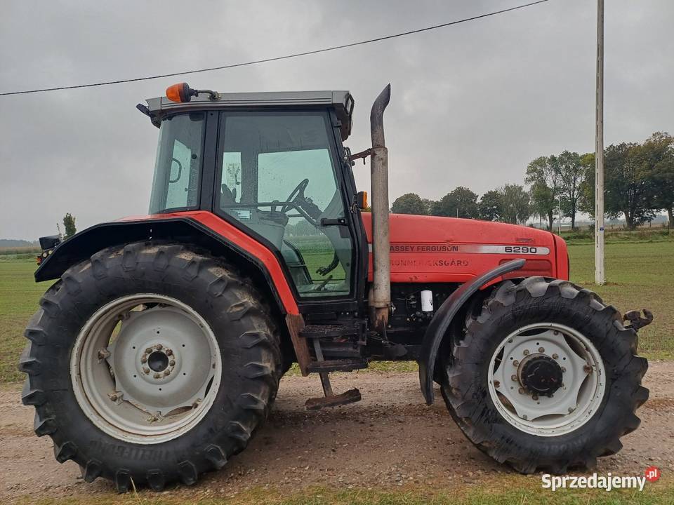 Massey ferguson 6290 Płonne-Plebanka