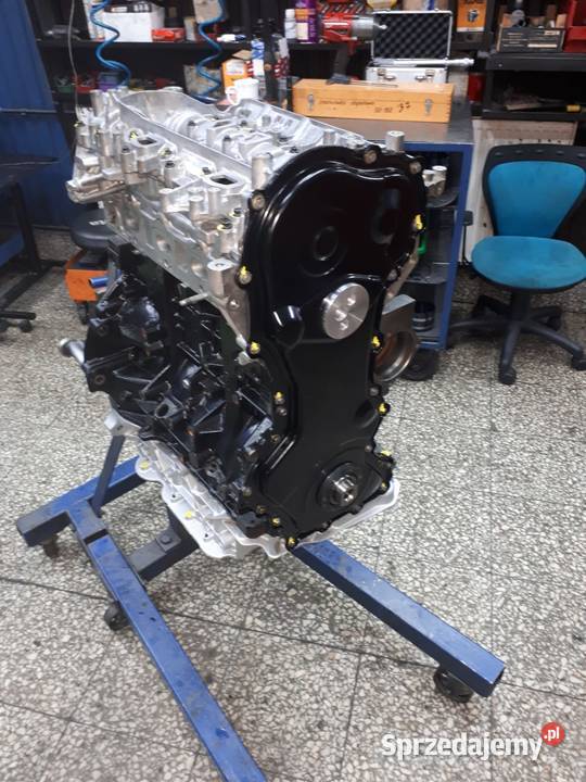 SILNIK 23 DCI BITURBO MASTER III MOVANO dostawcze Zgorzelec