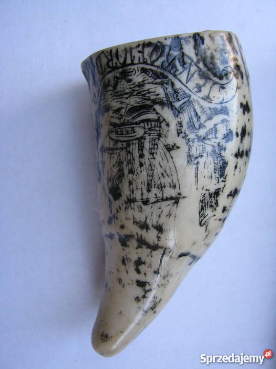 KŁY MORSA TROFEUM RZEŹBIONE 4 Kraków