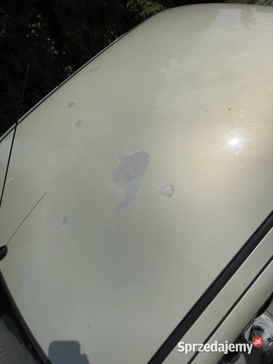 FIAT ALBEA 12 16v 2004 100 bez rdzy benzyna