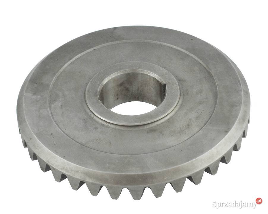 Zębatka 36T koło zębate przekładni kątowej Tajęcina