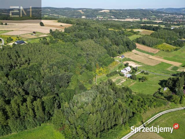 Działka Dobrzechów 13100m2 podkarpackie