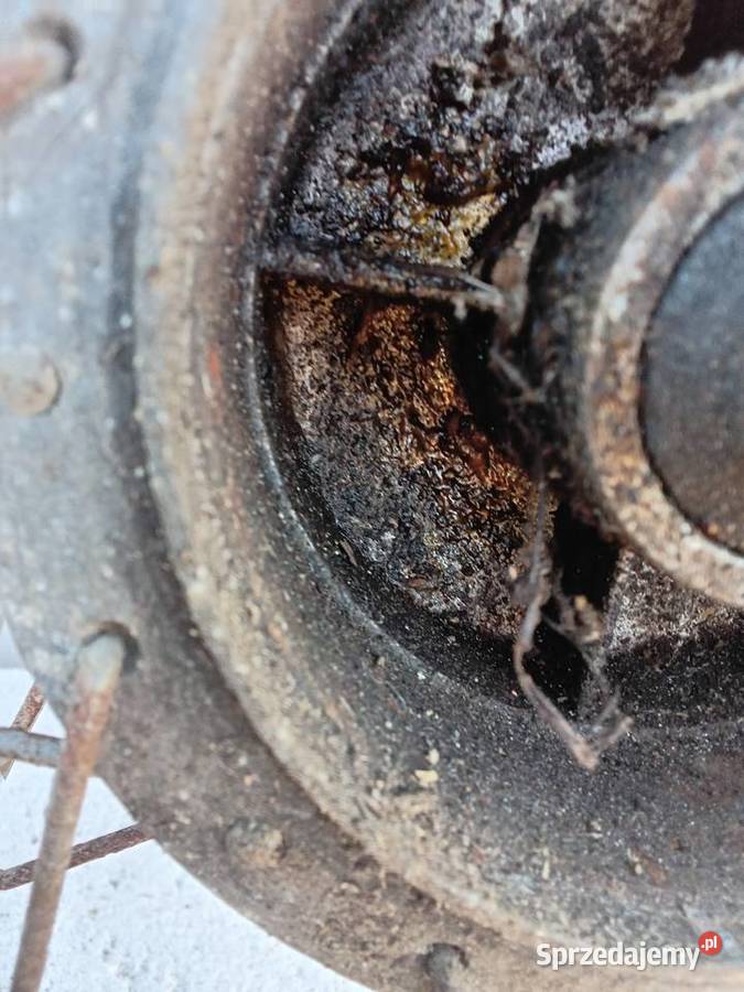 Koło Żak Ryś warmińsko-mazurskie sprzedam