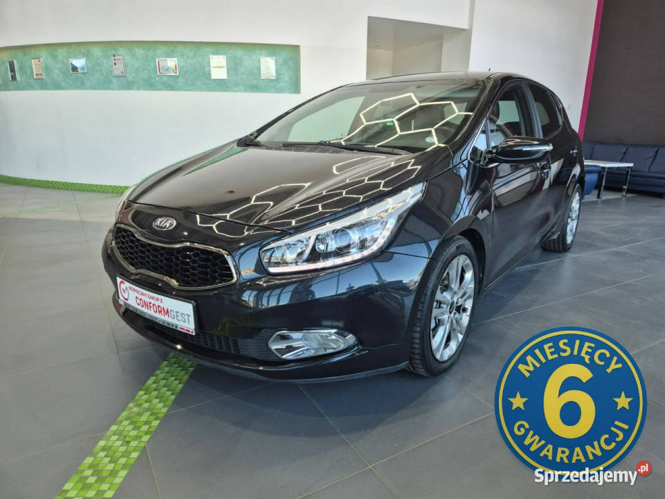 Kia Ceed Kia Ceed 16 CRDi 128 Platinum Edition klimatyzacja Łaziska Górne sprzedam