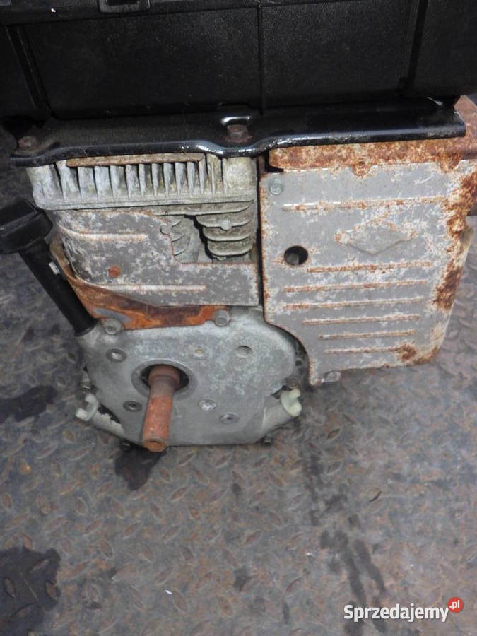 Silnik Spalinowy Briggs Stratton Industrial Plus podkarpackie Rzeszów