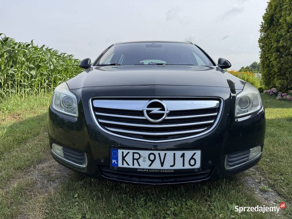 Opel Insignia Sports Tourer 20 CDTI nieuszkodzony