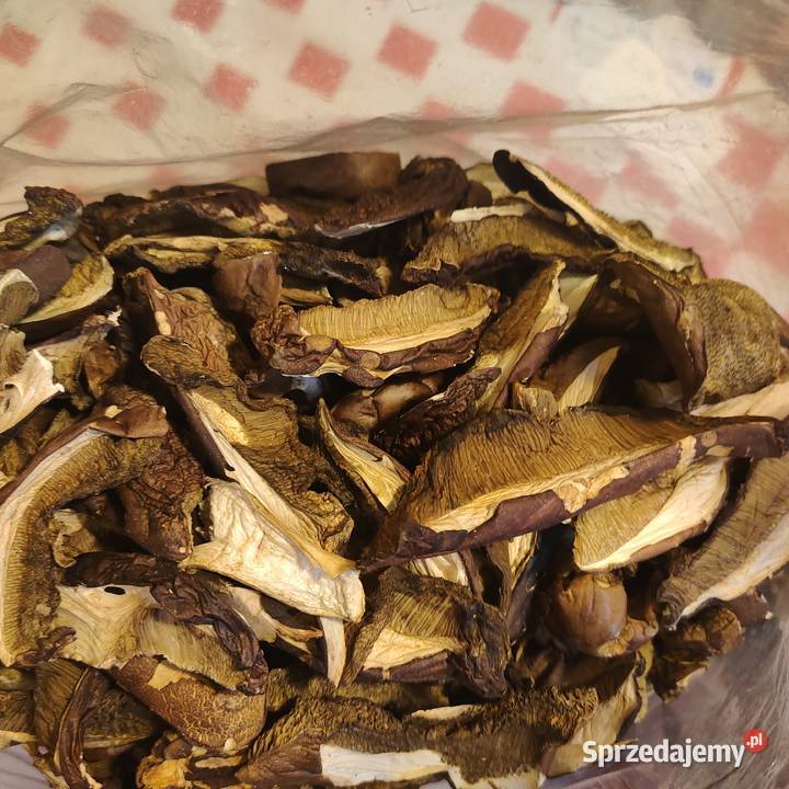 podgrzybki suszone pomorskie Sopot sprzedam