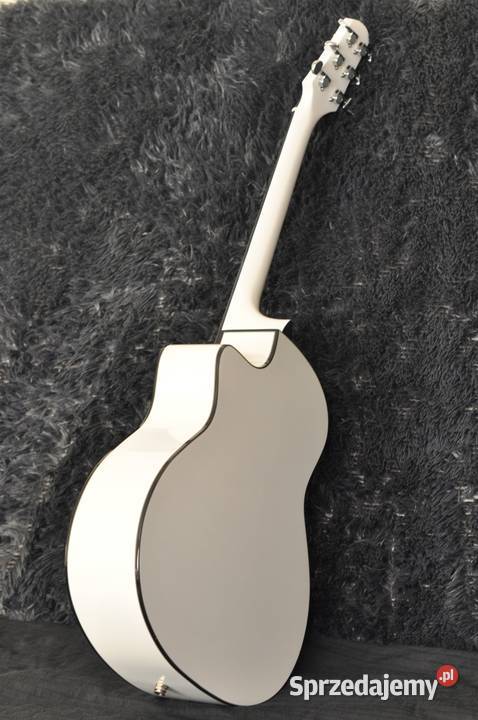 Gitara elektroakustyczna WALDEN Concorda Pozostałe