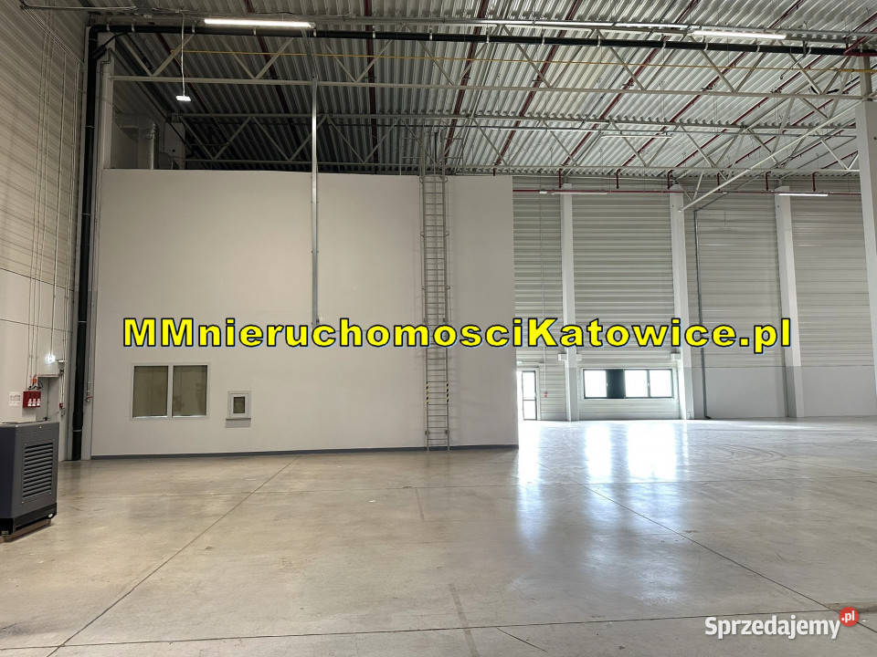 Wynajem lokalu 10400 metrów Piotrków Trybunalski