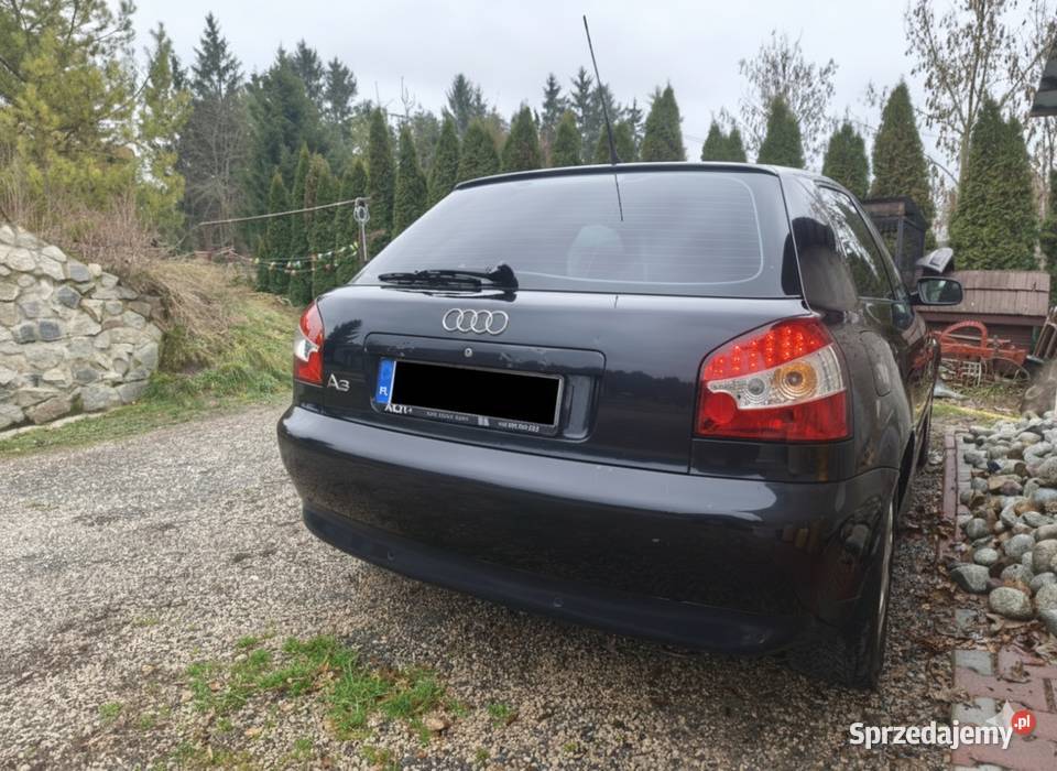 Audi a3 8l lampy tył tylne LED Hrubieszów