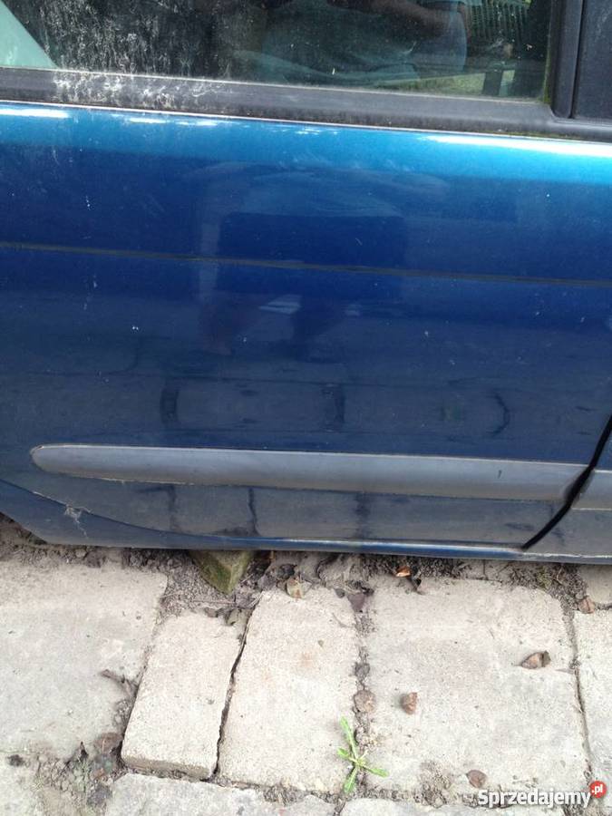 DrzwiRenault Scenic 1 Stasin