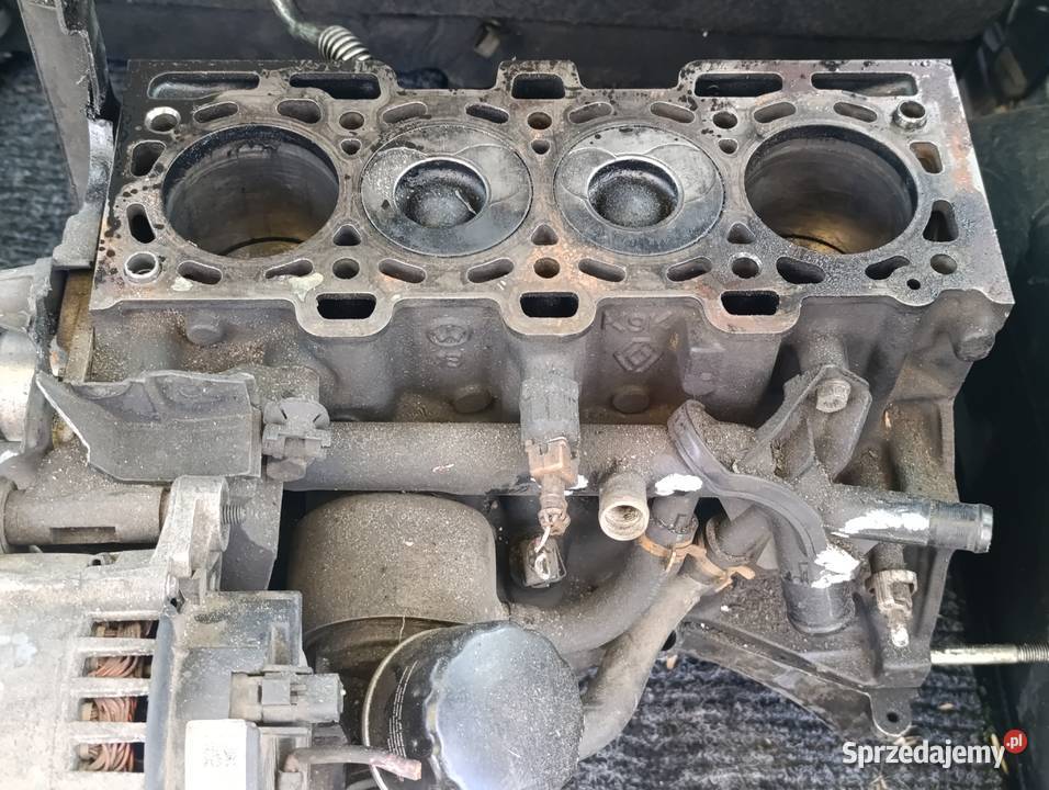 Silnik Renault 15 dci Silniki kompletne Oleśnica