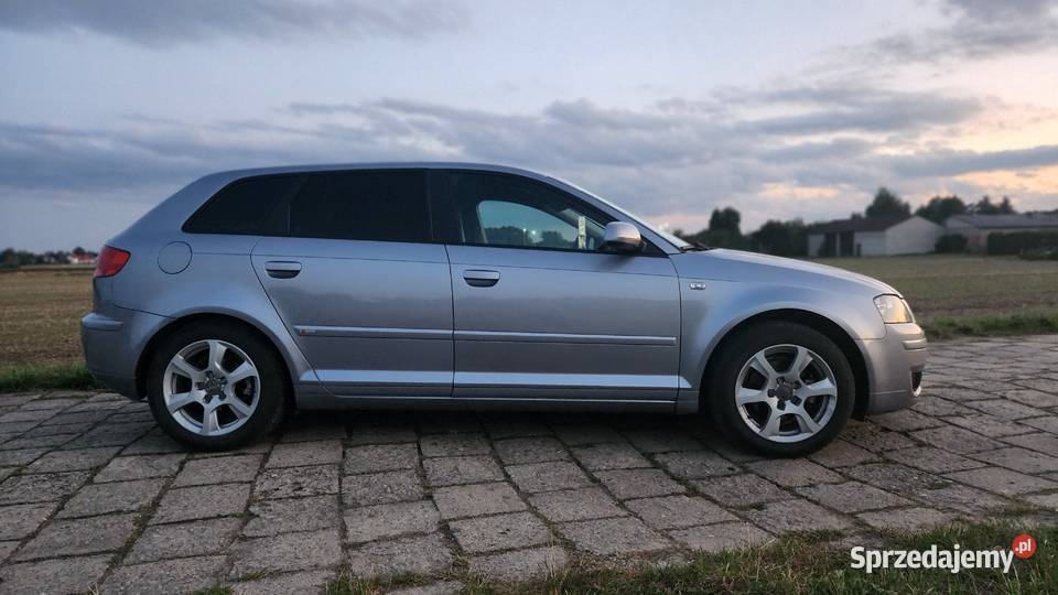 Audi a3 8p 19tdi navibose super stan ABS