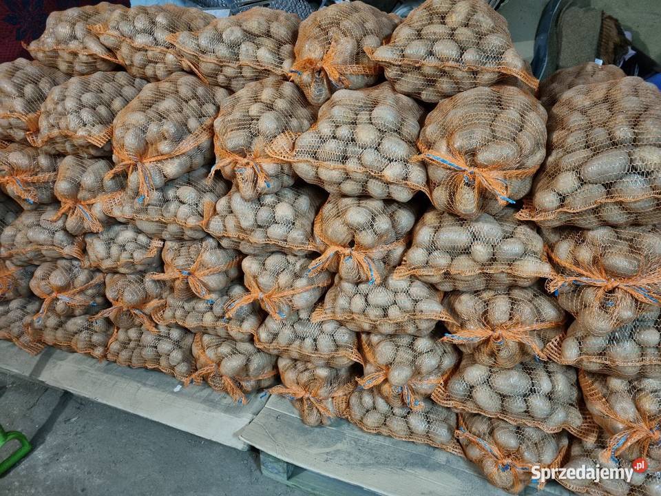 Sprzedam ziemniaki Witonia