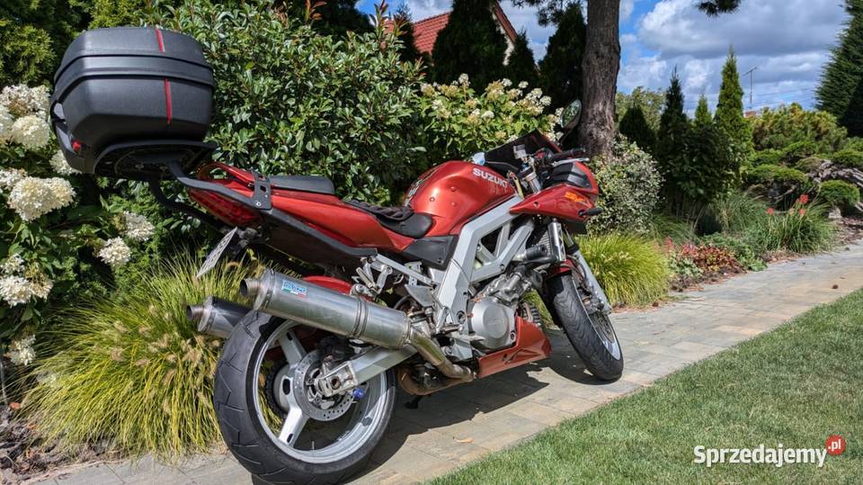 Suzuki SV 1000 wielkopolskie sprzedam