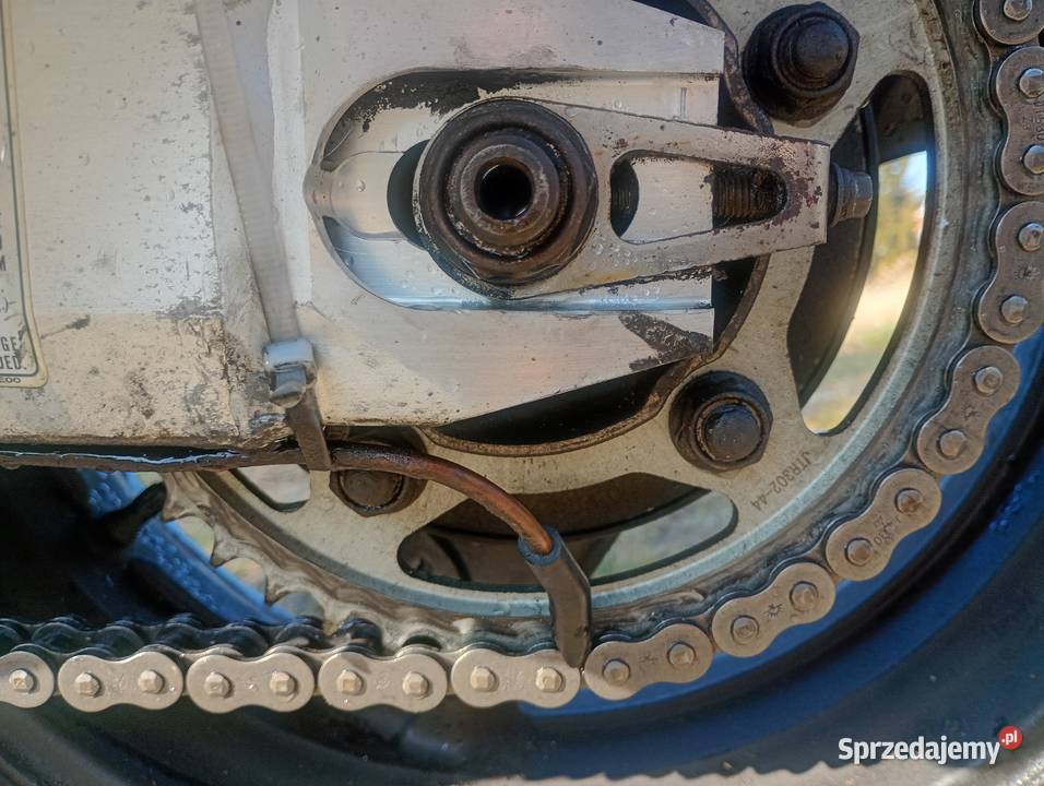 Honda CBR XX 1100 2000r Wtrysk Honda Czerwionka-Leszczyny