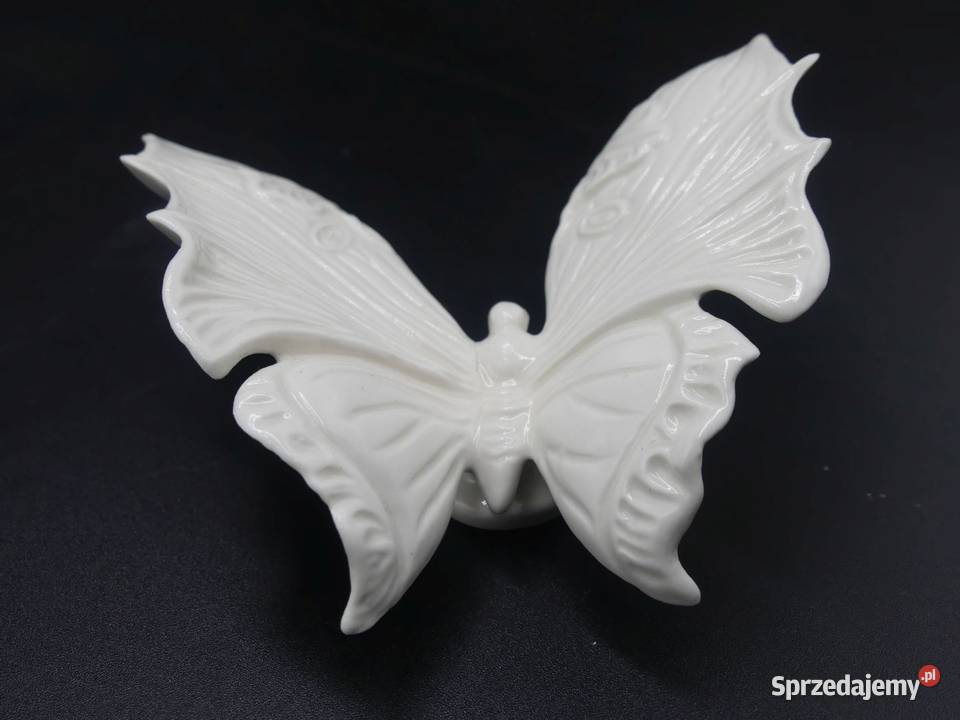 Piękny niespotykany biały motyl Karl Ens