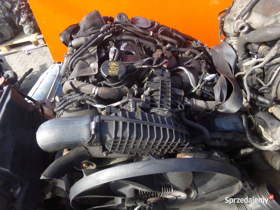 DISCOVERY III 27 TD V6 08r 200 276DT alternator Suków sprzedam