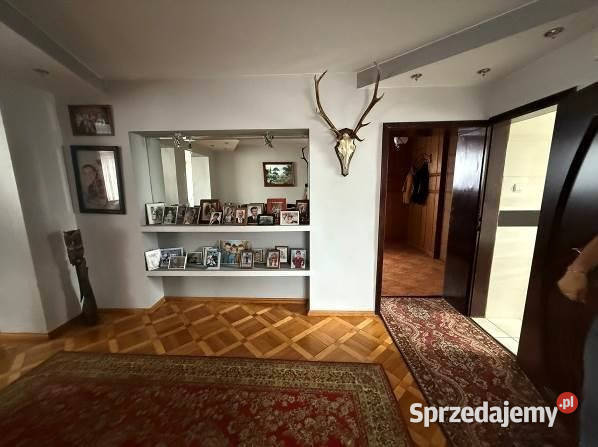 Sprzedam dom i szklarnie Godziesze Małe sprzedam