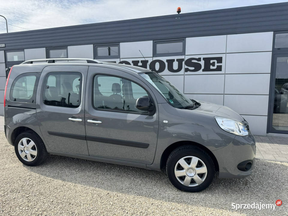 Renault Kangoo 16 Happy Family II 20072021 garażowany