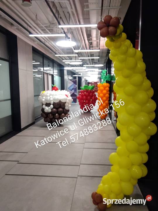 Dekoracje balonowe Pozostałe Katowice sprzedam