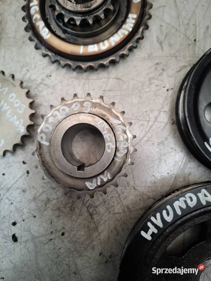 KIA HYUNDAI D4FB 16CRDI koło rozrządu pasowe Kielce