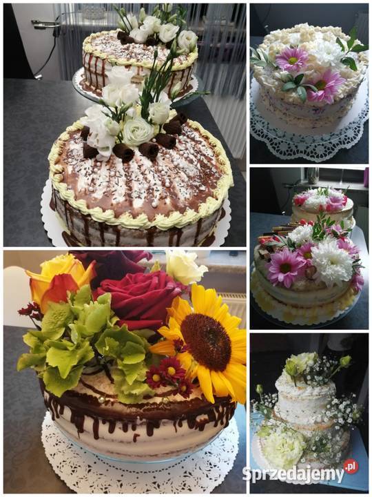 Torty Domowe Wrocław